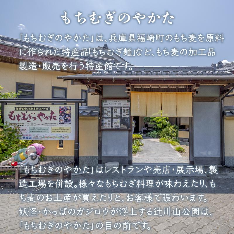 もち麦そうめんセット50g×20束 素麺 麺 贈り物 ギフト 小分け もちむぎ