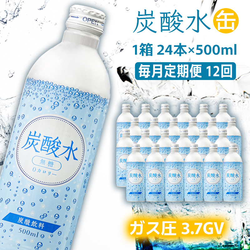 炭酸水 定期便 毎月 12回 500ml×24本 ソーダ 毎月 12回