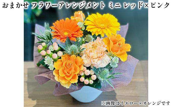 おまかせ フラワーアレンジメント ミニ（レッド×ピンク） 母の日 父の日 ギフト お祝い レッド×ピンク