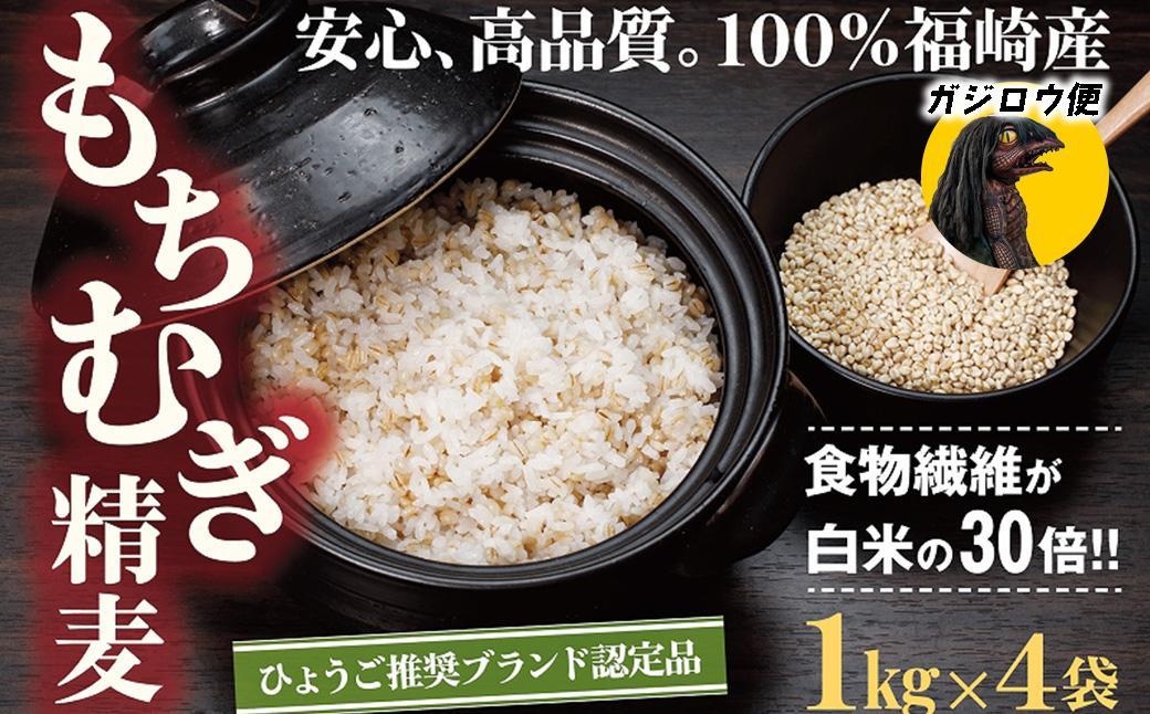 ガジロウ便【北海道・東北・九州】もちむぎ精麦 4kg もちむぎ精麦 4kg