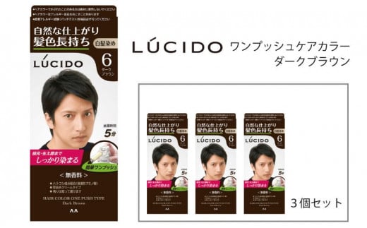 マンダム ルシード ワンプッシュケアカラー ダークブラウン 3個セット MA-16 LUCIDO 白髪染め 毛染め 白髪 カラーリング 男性化粧品 ダークブラウン