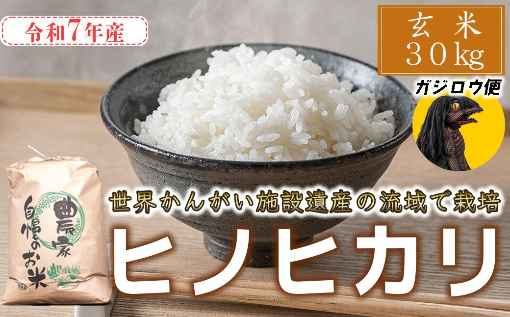 ガジロウ便 【北海道・東北・九州】 玄米 30kg 令和7年産 ヒノヒカリ 八千種米 お米 30kg ごはん 兵庫県産 世界かんがい施設遺産登録『西光寺野疏水路』 玄米30kg