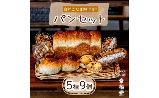 天然酵母のパンセット 5種9個 国産小麦粉 米粉 天然酵母 食パン 菓子パン