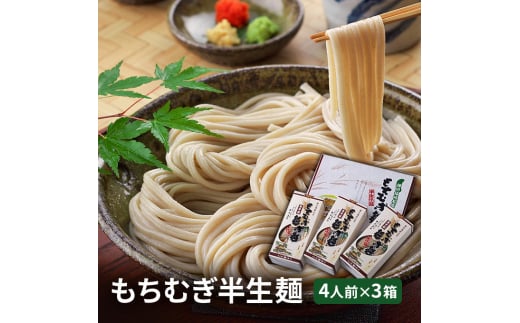 【五つ星ひょうご選定商品】 もちむぎ半生麺 4人前×3箱セット もちむぎ麵 もち麦使用