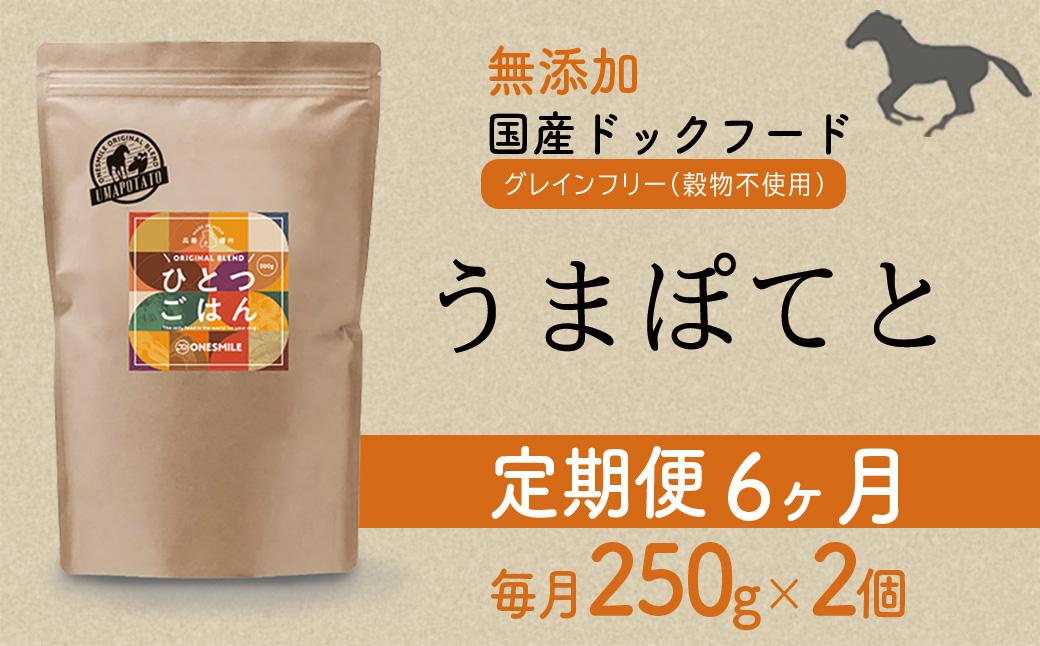 【定期便6か月】愛犬ごはん【ひとつごはん】うまぽてと500g 250g×2 定期便6か月