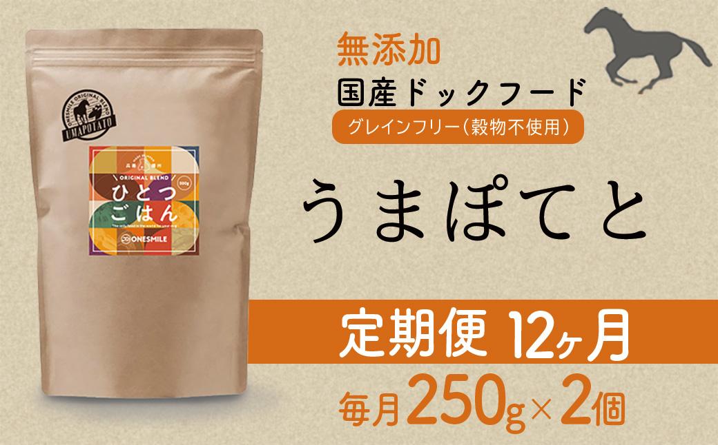 【定期便12か月】愛犬ごはん【ひとつごはん】うまぽてと500g 250g×2 定期便12か月