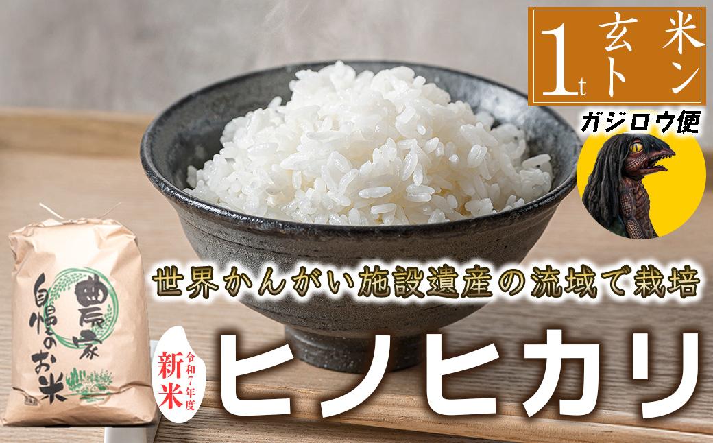 【河童のガジロウがお届け！！】令和7年度産 玄米 ヒノヒカリ 八千種米 お米 1000kg ごはん 兵庫県産 世界かんがい施設遺産登録『西光寺野疏水路』 河童のガジロウがお届け！