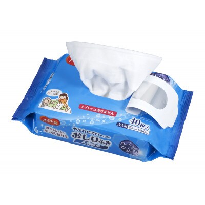 ハビナース　やぶれにくいタイプのおしりふき(大人用)大判厚手　40枚入×24個