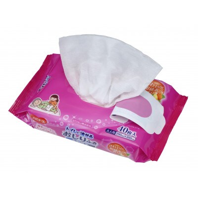 ハビナース　トイレに流せるおしりふき 大判厚手(大人用)40枚×24個