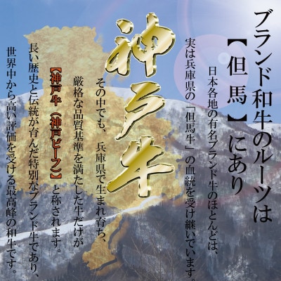 訳あり 神戸牛 焼肉用(部位おまかせ)400g KKWY1 【2026年4月より順次発送】【配送不可地域：離島】