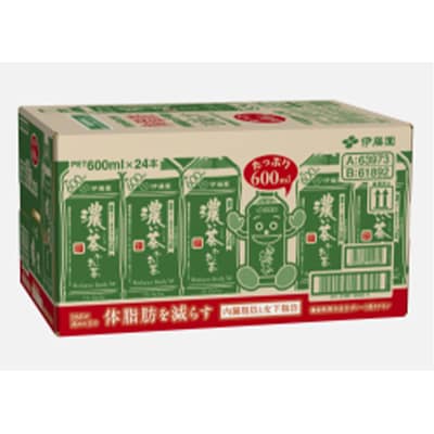 【毎月定期便】おーいお茶　濃い茶600ml　24本　全6回