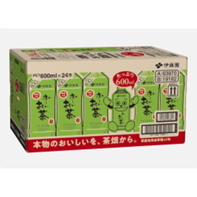 【毎月定期便】おーいお茶　緑茶600ml　48本　全6回