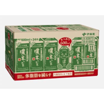 【毎月定期便】おーいお茶　濃い茶600ml　48本　全12回