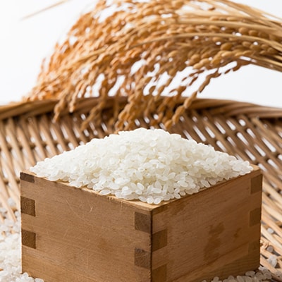 【特別栽培米】奥播磨『猪篠』のコシヒカリ10kg(真空パック5kg×2袋)