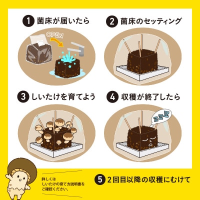 神河しいたけ栽培キット(しいたけ菌床)1個　※5月～10月順次発送【配送不可地域：離島】