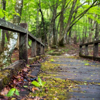 峰山高原ホテルリラクシア宿泊助成券3枚