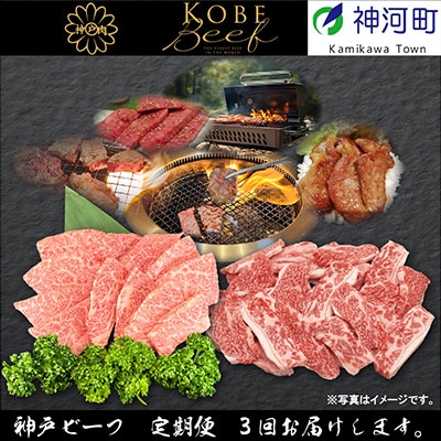 【発送月固定定期便】兵庫県の厳しい基準をクリアした「神戸ビーフ」を少しずつ小分けにしてお届け!全3回【配送不可地域：離島】