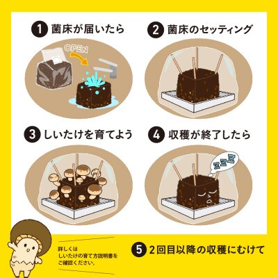 神河しいたけ栽培キット(しいたけ菌床)1個としいたけ粉セット　※10月～4月発送