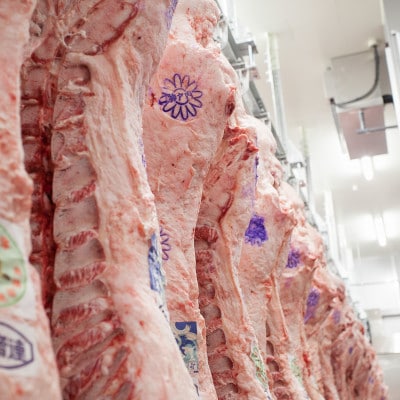 神戸ビーフ　焼肉用(かたロース・ロース)600g　KKWY3【配送不可地域：離島】