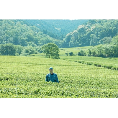 仙霊茶 茶園オーナー権(1年間分)