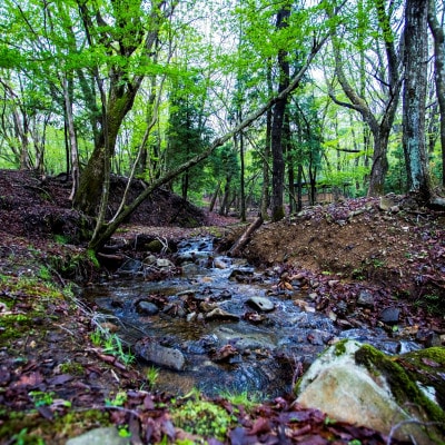 峰山高原ホテルリラクシア宿泊助成券10枚