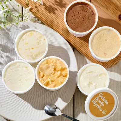 【兵庫県神河町発】ジェラート【おまかせ】詰め合わせ　90ml×12個【配送不可地域：離島】