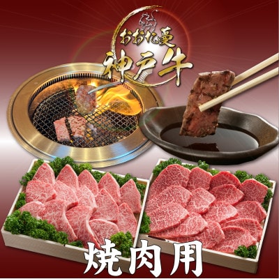 【発送月固定定期便】A5 おおた蔓 神戸牛(神戸ビーフ)　それは選ばれし希少な一頭全6回【配送不可地域：離島】