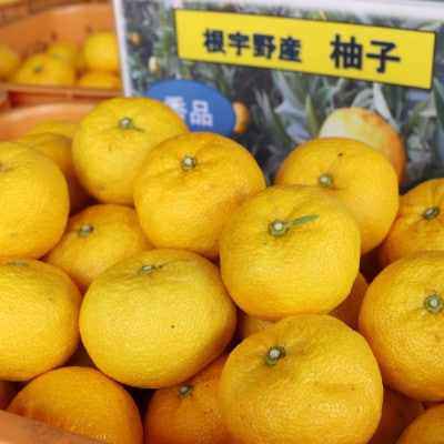【神河町特産】根宇野(みよの)の柚子(ゆず) 約2kg　※2025年10月末頃から順次発送