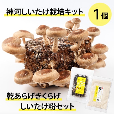 神河しいたけ栽培キット(しいたけ菌床)1個と乾あらげきくらげ・しいたけ粉セット　※10月～4月発送