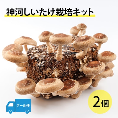 神河しいたけ栽培キット(しいたけ菌床)2個　※5月～10月順次発送【配送不可地域：離島】