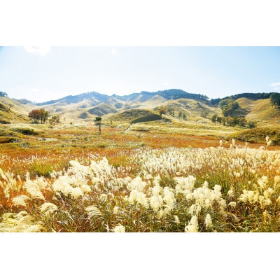 【返礼品なし】神河町 寄附のみ応援受付(1口:1,000円) お礼の品なし