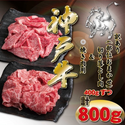 訳あり 神戸牛 切り落とし肉・焼肉用 計800g KKWSY2 【2026年4月より順次発送】【配送不可地域：離島】