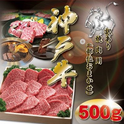 神戸牛 焼肉用 かた・もも 500g KKWY2 【2026年4月より順次発送】【配送不可地域：離島】