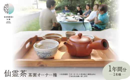 仙霊茶 茶園オーナー権(1年間分)