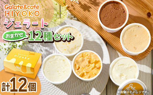 【兵庫県神河町発】ジェラート【おまかせ】詰め合わせ　90ml×12個【配送不可地域：離島】