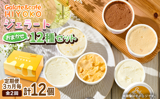 【3ヵ月毎定期便】【兵庫県神河町発】ジェラート【おまかせ】詰め合わせ　90ml×12個全2回【配送不可地域：離島】