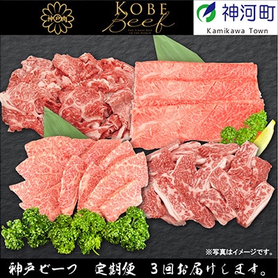 【発送月固定定期便】兵庫県の厳しい基準をクリアした「神戸ビーフ」を少しずつ小分けにしてお届け!全3回【配送不可地域：離島】