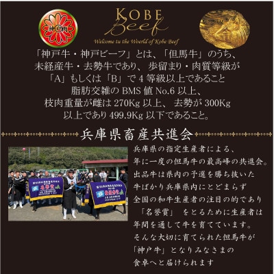 神戸牛　TSYS5　焼肉用セット　合計　1200g【配送不可地域：離島】