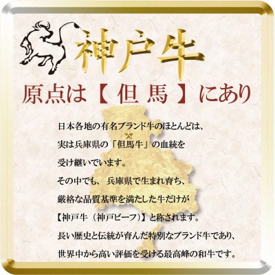 訳あり 神戸牛 切り落とし肉 400g×2 計800g TSS1-2 【2026年4月より順次発送】【配送不可地域：離島】