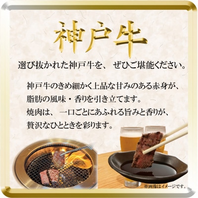 神戸牛 焼き肉用 500g TSY2 【2026年4月より順次発送】【配送不可地域：離島】