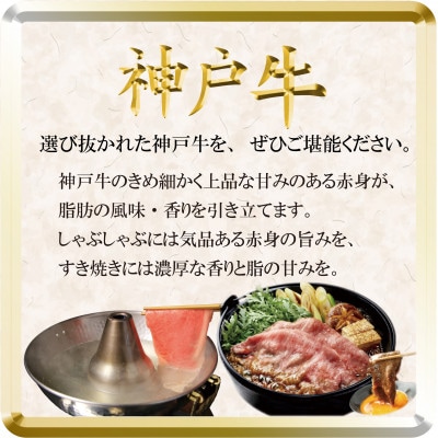 神戸牛 しゃぶしゃぶ・すき焼き用セット 計1Kg TSSS5 【2026年4月より順次発送】【配送不可地域：離島】