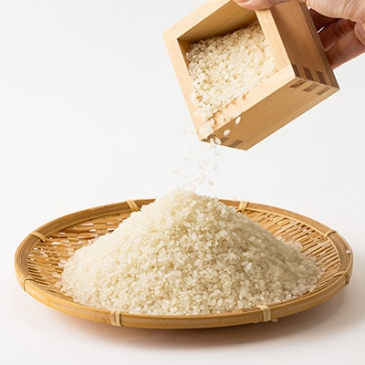 令和6年産　揖保川の清流米(ヒノヒカリ12kg)　【白米】