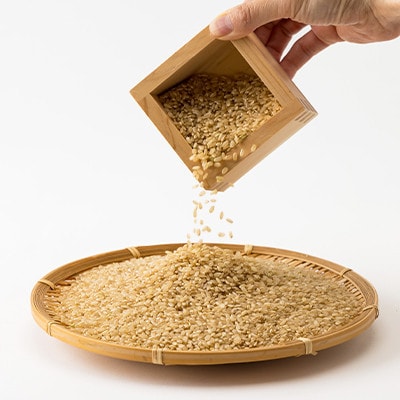 令和7年度　揖保川の清流米(きぬむすめ30kg)【玄米】