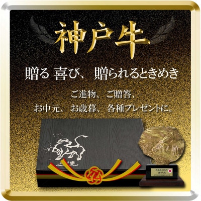 神戸牛 ロースステーキ 250g×2枚 計500g TSST5 【2026年4月より順次発送】【配送不可地域：離島】