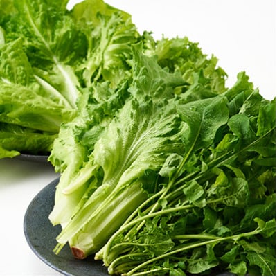 【毎月定期便】G Line brio レタス8パックセット全2回【配送不可地域：離島】