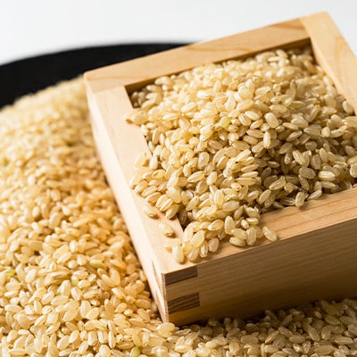 令和6年産　阿曽レンゲ米(にこまる15kg)【玄米】