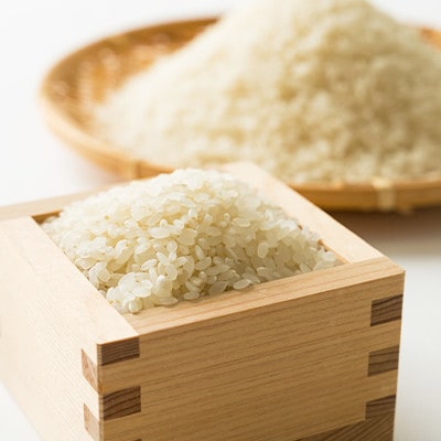 令和6年産　揖保川の清流米(きぬむすめ12kg)【白米】