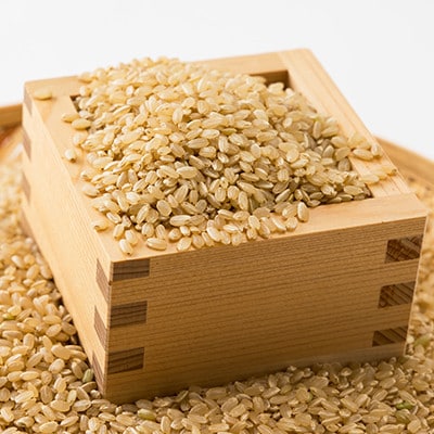 令和7年産　揖保川の清流米(ヒノヒカリ30kg) 【玄米】