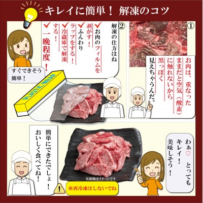 訳あり 神戸牛 切り落とし肉＆焼肉用 計800g TSSY2 【2026年4月より順次発送】【配送不可地域：離島】