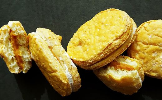 ダックワーズ　24個入り【配送不可地域：離島】